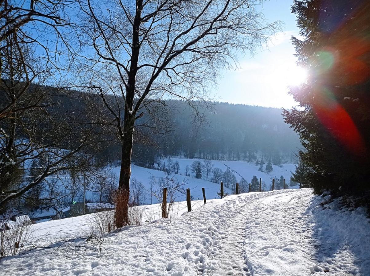 Haus Wald-Eck Lejlighed Schmallenberg Eksteriør billede