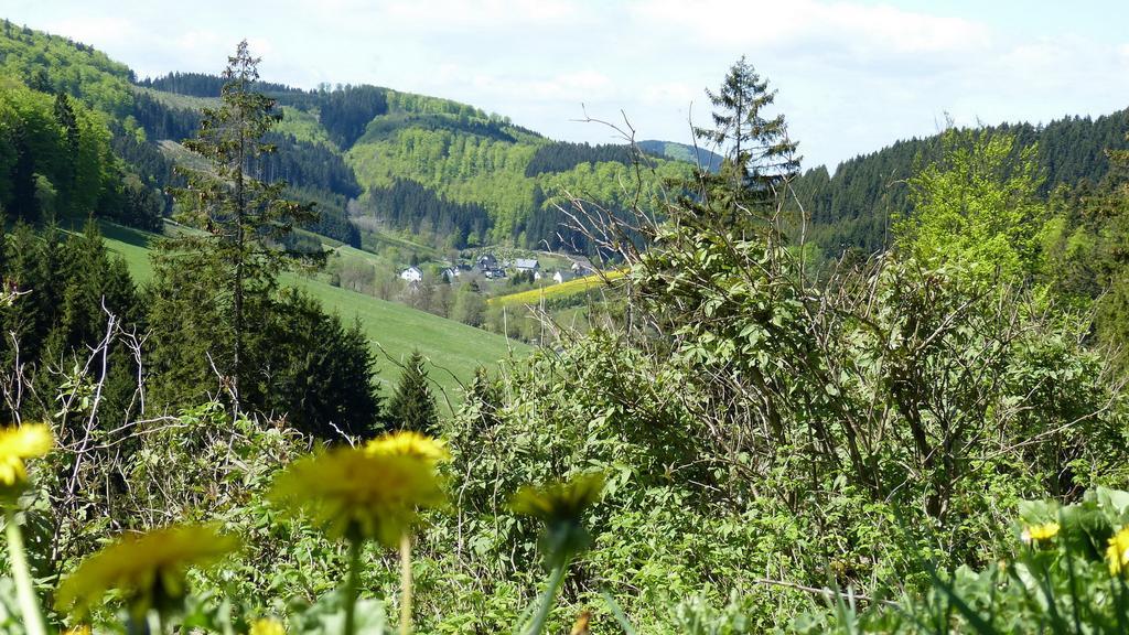 Haus Wald-Eck Lejlighed Schmallenberg Eksteriør billede
