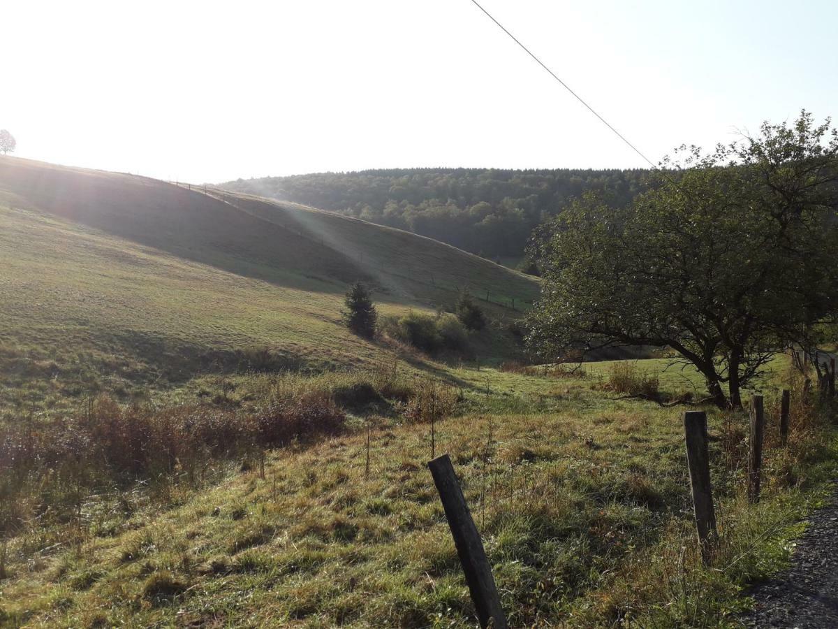 Haus Wald-Eck Lejlighed Schmallenberg Eksteriør billede