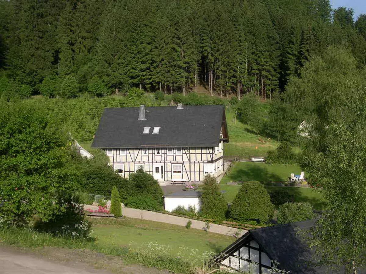 Haus Wald-Eck Lejlighed Schmallenberg Eksteriør billede